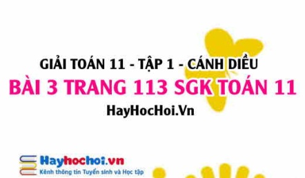 Giải bài 3 trang 113 Toán 11 tập 1 SGK Cánh Diều